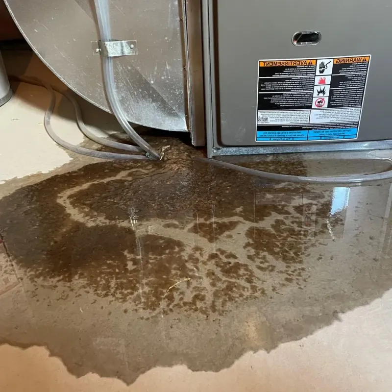 Pipe Burst and Leak Restoration in Marblehead, MA